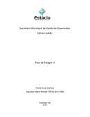 As Características das áreas e as atividades desenvolvidas pelo Assistente Social