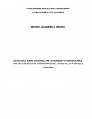 UM ESTUDOS SOBRE SEGURANÇA EM ESTÁDIOS DE FUTEBOL BASEADOS NAS RELAÇÕES MUTUAS DO PODER PÚBLICO, SOCIEDADE, RIVALIDADES E TRADIÇÕES