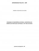 PROGRAMA DE TRANSFERÊNCIA DE RENDA: A IMPORTÂNCIA DO BENEFÍCIO DE PRESTAÇÃO CONTINUADA - BPC PARA OS IDOSOS