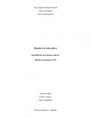 Relatório de Quantificação de Proteínas - Bioquímica