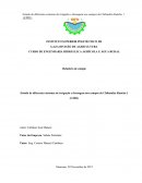 Estudo de Diferentes sistemas de irrigação e drenagem nos campos de Chibandza Rancho 1 (CZR1)