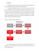 O Planejamento abrange as ações a serem desenvolvidas na unidade selecionada e na região de abrangência na qual está inserida a Zona de Amortecimento