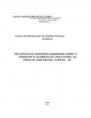 INFLUÊNCIA DO EMISSÁRIO SUBMARINO SOBRE O TRANSPORTE SEDIMENTAR LONGITUDINAL NA PRAIA DE JOSÉ MENINO, SANTOS – SP