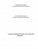 ALGUMAS CONSIDERAÇÕES SOBRE A CARGA TRIBUTÁRIA BRASILEIRA