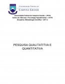 Pesquisa qualitativa e quantitativa