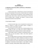 O PRINCÍPIO DA BOA-FÉ NO DIREITO CONTRATUAL E PROCESSUAL