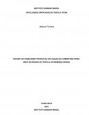 ESTUDO DA VIABILIDADE TÉCNICA DA APLICAÇÃO DA COBERTURA STEEL