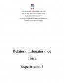 Relatório Laboratório de Física