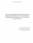 AGRICULTURA FAMILIAR EM ASSOCIAÇÕES COMUNITÁRIAS: A DIMENSÃO DAS TRANSFORMAÇÕES NA QUALIDADE DE VIDA DOS PRODUTORES RURAIS ASSOCIADOS –