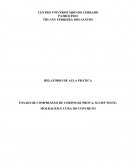 RELATÓRIO DE AULA PRÁTICA ENSAIO DE COMPRESSÃO DE CORPOS