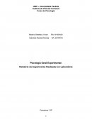 Psicologia Geral Experimental: Relatório do Experimento Realizado em Laboratório