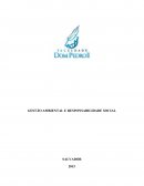 A GESTÃO AMBIENTAL E RESPONSABILIDADE SOCIAL