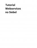O Desenvolvimento Webservice Siebel