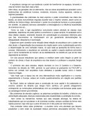 Ensaio do livro O Canteiro e o Desenho