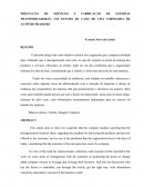 PRESTAÇÃO DE SERVIÇOS E FABRICAÇÃO DE ESTEIRAS TRANSPORTADORAS: UM ESTUDO DE CASO DE UMA TORNEARIA DE ANTÔNIO PRADO/RS