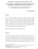 A LEGALIDADE E A ILEGALIDADE DA POLUIÇÃO SONORA COMO UM PROBLEMA AMBIENTAL E DE SEGURANÇA PÚBLICA