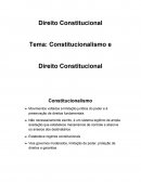 DIREITO CONSTITUCIONAL - CONSTITUCIONALISMO E DIREITO CONSTITUCIONAL