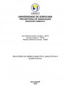 RELATÓRIO DE QUÍMICA ANALÍTICA: QUALITATIVA E QUANTITATIVA