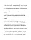 Texto: “Perspectivas e desafios para o jovem arquiteto no Brasil. Qual o papel do arquiteto?” de José Sette Whitaker Ferreira