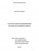 RELATÓRIO DE PESQUISA: CULTIVO DE PLANTAS AUTOSSUSTENTÁVEIS EM VASOS ECOLOGICAMENTE CORRETOS