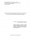 ASPECTOS CONSTITUCIONAIS GERAIS DA SÚMULA VINCULANTE E DA RECLAMAÇÃO NO ORDENAMENTO JURÍDICO BRASILEIRO