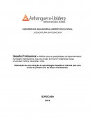 Desafio Profissional – Refletir sobre as possibilidades do desenvolvimento de trabalho interdisciplinar nos anos iniciais do Ensino Fundamental