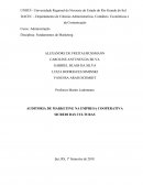 AUDITORIA DE MARKETING NA EMPRESA COOPERATIVA SICREDI DAS CULTURAS