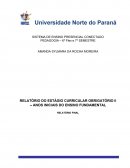 RELATÓRIO DO ESTÁGIO CURRICULAR OBRIGATÓRIO II – ANOS INICIAIS DO ENSINO FUNDAMENTAL