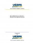 RELATÓRIO DE AULA PRÁTICA – DISCIPLINA DE BROMATOLOGIA