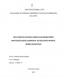 RELATÓRIO DE ESTÁGIO CURRICULAR OBRIGATÓRIO