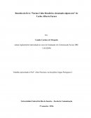 Resenha do livro: Norma Culta Brasileira