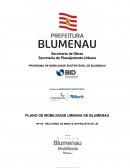 PROGRAMA DE MOBILIDADE SUSTENTÁVEL DE BLUMENAU