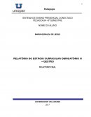 RELATÓRIO DO ESTÁGIO CURRICULAR OBRIGATÓRIO