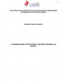 A POSSIBILIDADE DE PRIVATIZAR O SISTEMA PRISIONAL DO BRASIL