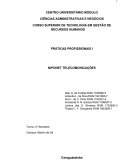 PRÁTICAS PROFISSIONAIS I - NIPONET TELECOMUNICAÇÕES