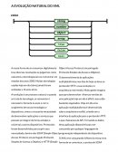 A EVOLUÇÃO NATURAL DO XML