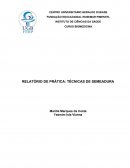 RELATÓRIO DE PRÁTICA: TÉCNICAS DE SEMEADURA