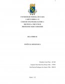 Os Fundamentos de circuitos eletricos