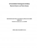 RESPONSABILIDADE PENAL DAS PESSOAS JURÍDICAS NOS CRIMES AMBIENTAIS