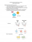Estrutura dos Ácidos Nucléicos e Replicação do DNA