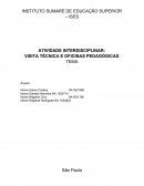 ATIVIDADE INTERDISCIPLINAR: VISITA TÉCNICA E OFICINAS PEDAGÓGICAS