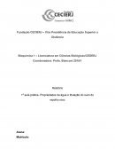 Relatório 1 - Bioq - Resende - Rafaela