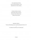 Premissas Metodológicas para a Constitucionalização do Direito Civil