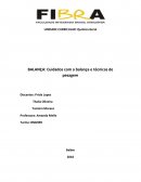 BALANÇA: Cuidados com a Balança e Técnicas de Pesagem