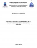 MODELAGEM E ELETROOXIDAÇÃO DO CORANTE REMAZOL PRETO B UTILIZANDO UM REATOR ELETROQUÍMICO DE CONFIGURAÇÃO TRANSVERSAL