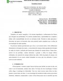 Protótipo Básico de Funcionamento de Energia Maremotriz