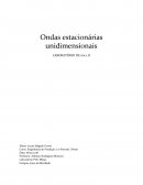 Relatorio Fisica Ondas Estacionárias Unidimensionais