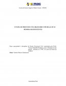 O PAPEL DO PROCESSO CIVIL BRASILEIRO COM RELAÇÃO ÀS MINORIAS DE DEFICIENTES