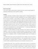 As Materiais de Construção I - Materiais Betuminosos, Madeira, Metais, Pedras Naturais, Tintas e Vernizes