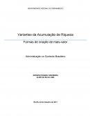 As Variantes da Acumulação de Riqueza